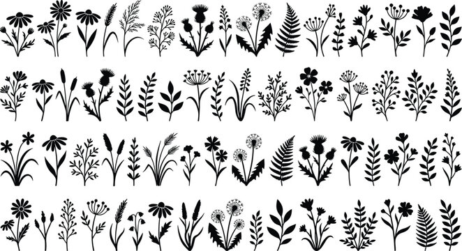 Wildflowers and field grass black silhouettes mega set vector illustration of botanical herbs branches and leaves isolated on white background