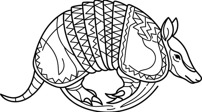 Armadillo Illustration - Outline Drawing of a Unique Mammal