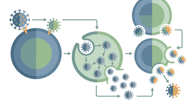 Virus cells attacking healthy cells.