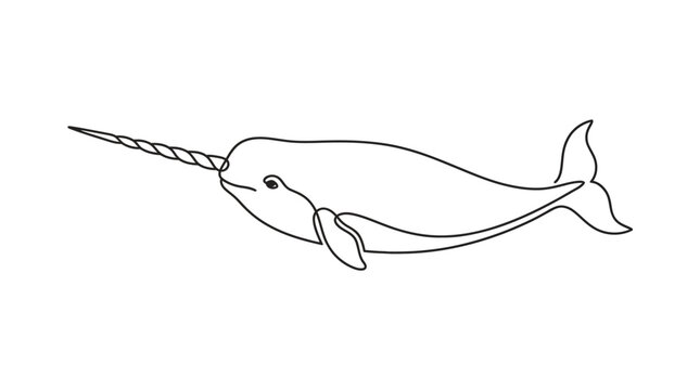 Narwhal Unicorn Whale Simple Line Art Illustration