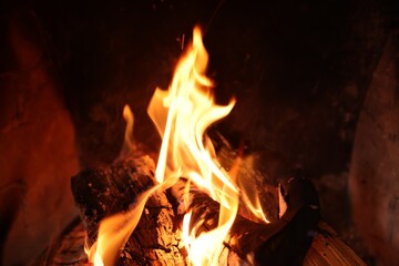 Fototapeta premium Wood burning in fireplace at home, closeup