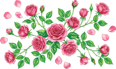 Fototapeta premium Pink Rose Flower Branch Vector Set with Blooming Floral Buds and Falling Petals for Wedding Invitations, Greeting Cards, and Romantic Graphic Designs