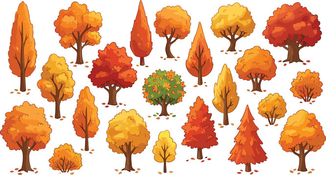 Autumn Tree and Bush Vector Element Set with Colorful Yellow Orange and Red Fall Foliage for Nature Landscapes and Seasonal Graphic Designs