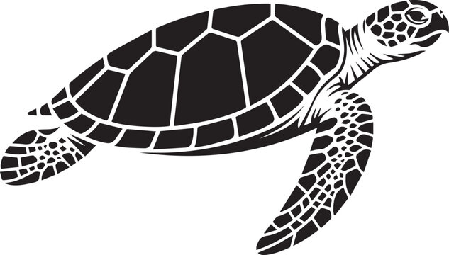 Sea turtle swimming in the ocean Vector