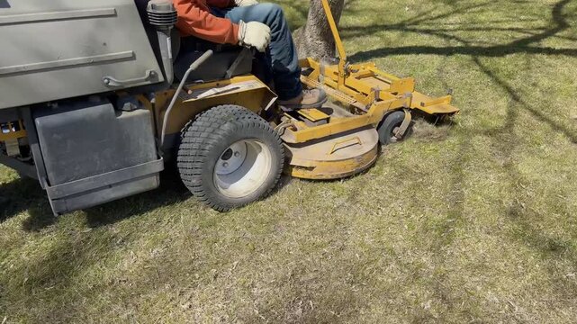 Commercial Lawn Mower Cutting Grass.commercial zero turn lawn mower on dry grass in a public park during seasonal lawn maintenance work.
