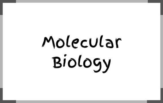 Molecular Biology