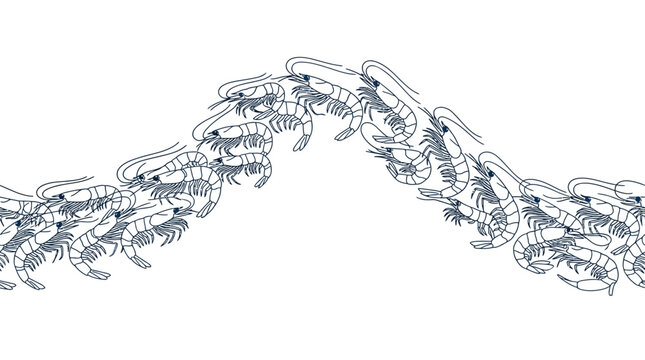 Arch of Shrimp Illustration