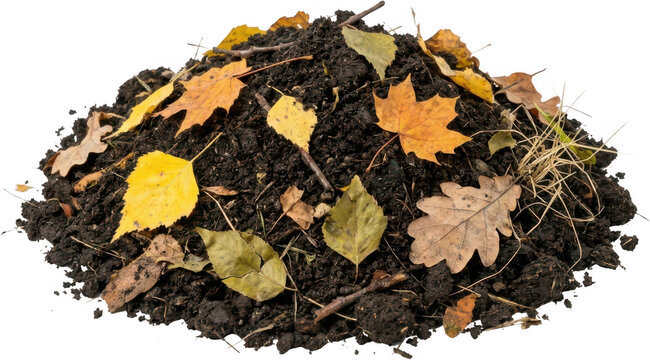 A mound of dark soil is scattered with fallen autumn leaves in various shades of yellow orange and brown along with small twigs and dry grass compost dirt earth mulch gardening