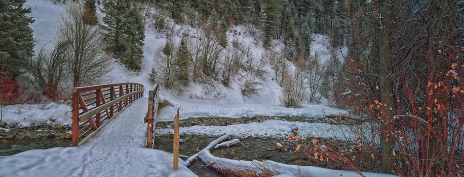 Tibble Fork Loop winter storm snow views from hiking trail Lone Peak Wilderness Uinta Wasatch Cache National Forest, Rocky Mountains, Utah. United States.