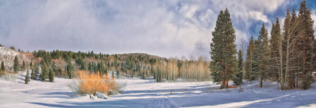 Tibble Fork Loop winter storm snow views from hiking trail Lone Peak Wilderness Uinta Wasatch Cache National Forest, Rocky Mountains, Utah. United States.