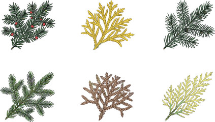 Set of Coniferous Tree Branch Vector Illustrations Featuring Yew, Douglas Fir, Japanese Cedar, and Evergreen Branches for Nature, Botany, and Forest Designs © Md