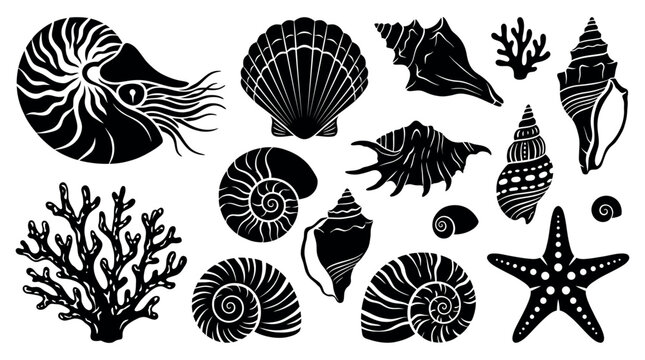 Collection of black seashell silhouettes including nautilus and coral elements isolated on white background, Symbolizing coastal decorative patterns or professional summer graphic designs