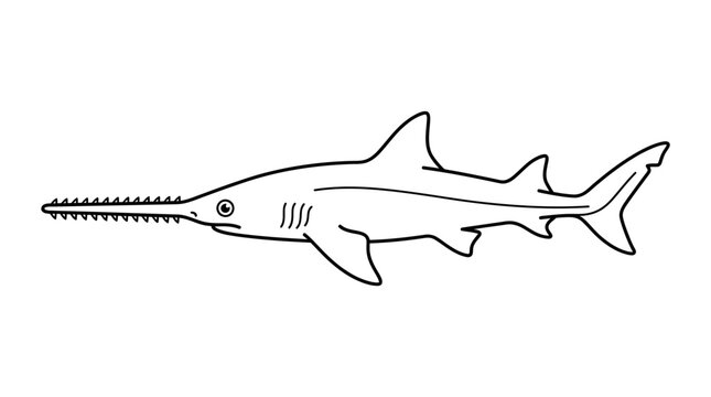 Sawfish Outline Illustration - Marine Animal