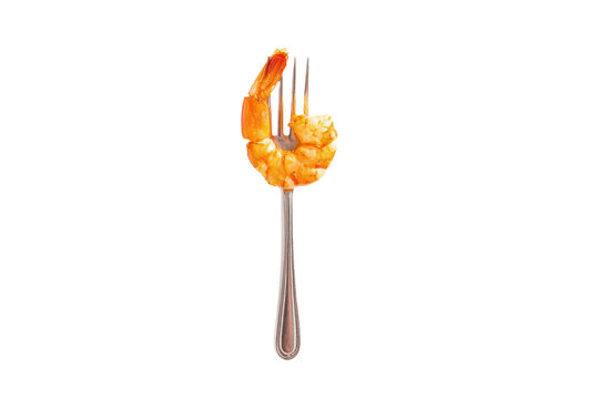 A single cooked shrimp skewered on a silver fork isolated on transparent background