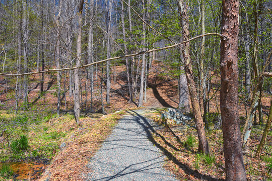 Pocahontas State Park spring forest hiking trail views, Richmond, Virginia, United States.