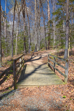 Pocahontas State Park spring forest hiking trail views, Richmond, Virginia, United States.