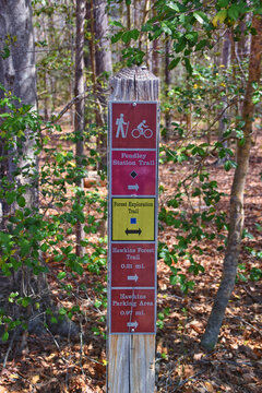 Pocahontas State Park spring forest hiking trail views, Richmond, Virginia, United States.