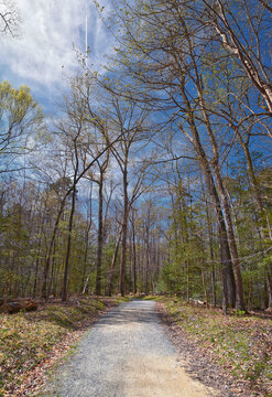 Pocahontas State Park spring forest hiking trail views, Richmond, Virginia, United States.