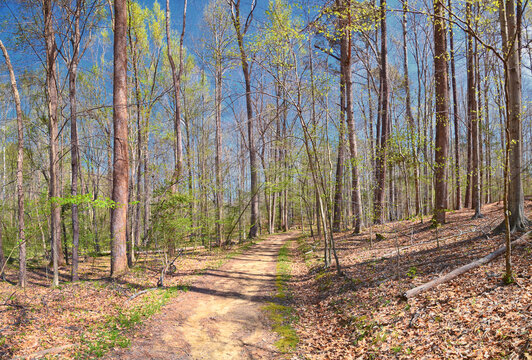Pocahontas State Park spring forest hiking trail views, Richmond, Virginia, United States.