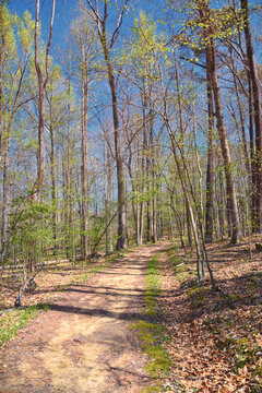 Pocahontas State Park spring forest hiking trail views, Richmond, Virginia, United States.