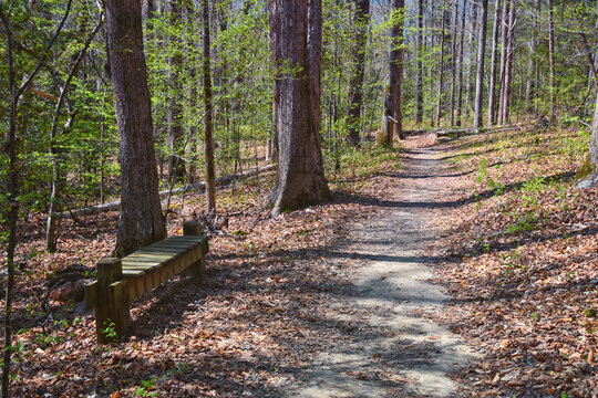 Pocahontas State Park spring forest hiking trail views, Richmond, Virginia, United States.