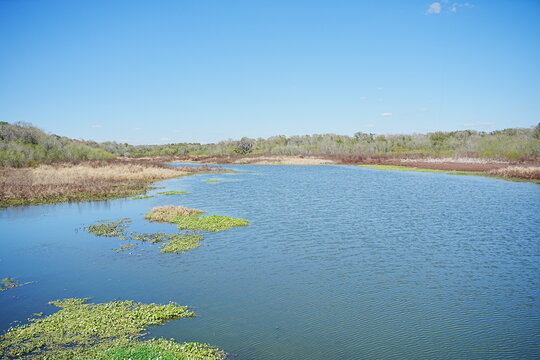 Plant city, Florida, USA: 06 22 2025: The landscape of Edward Medard Conservation Park in Plant City close to Tampa
