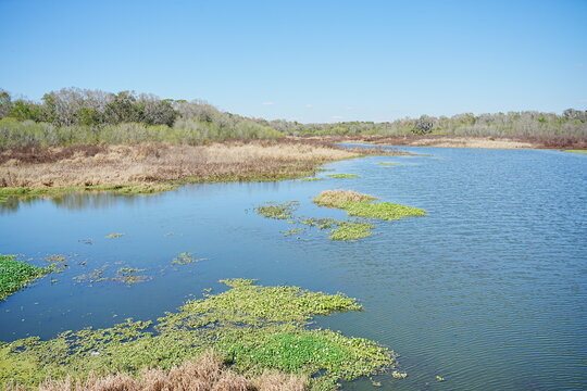 Plant city, Florida, USA: 06 22 2025: The landscape of Edward Medard Conservation Park in Plant City close to Tampa