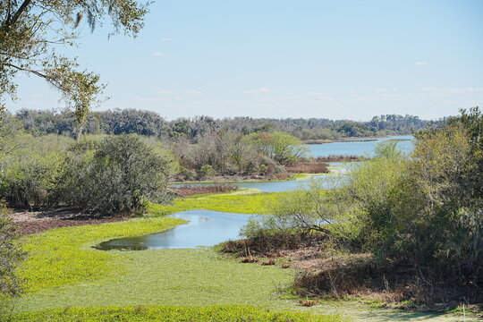 Plant city, Florida, USA: 06 22 2025: The landscape of Edward Medard Conservation Park in Plant City close to Tampa