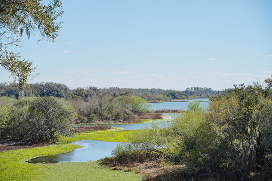 Plant city, Florida, USA: 06 22 2025: The landscape of Edward Medard Conservation Park in Plant City close to Tampa