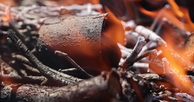 Coals from logs and branches glow in the ashes,   embers on thin branches with orange flames and gray ashes in a campfire with a natural texture and clear surface details in macro.