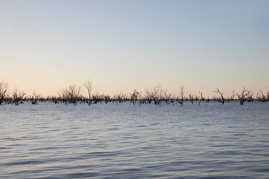 Golden hour looking across Lake Pamamaroo, Menindee Lakes, New South Wales, Australia
