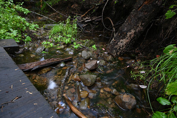 Clear water brook flowing over stones next to a wooden trail boardwalk in a lush forest © Oasis23