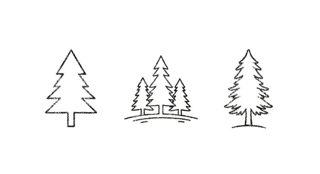 Minimalist pine tree forest border pattern