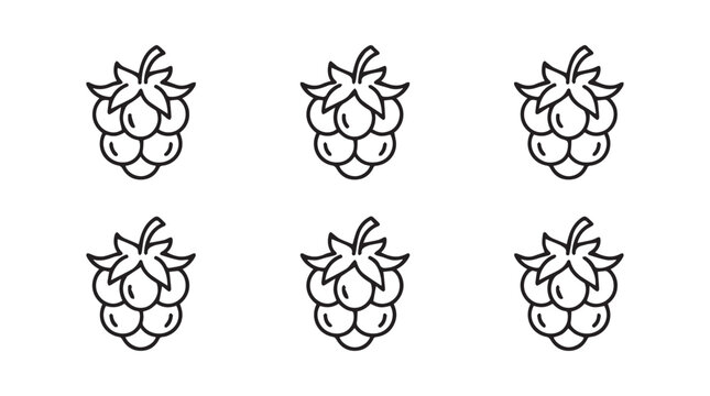 Simple line drawings of raspberries individual berries in a repetitive pattern hand drawn botanical illustration food illustration fruit illustration berry illustration raspberry