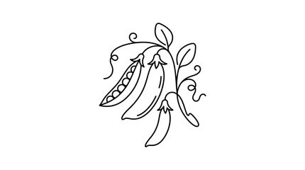 Fototapeta premium Pea Pods Line Art Illustration - Fresh Organic Vegetable Drawing