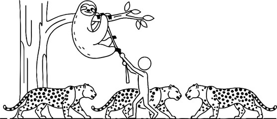 Fototapeta premium Sloth on leash guided past leopards