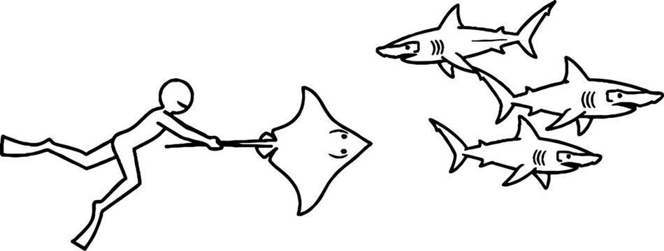 Scuba diver protecting a stingray from group of aggressive sharks