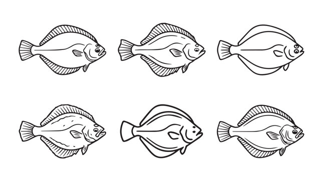 Collection of six flatfish illustrations in different views with bottom dweller line art flatfish wildlife illustration collection different side view flounder silhouette component isolated