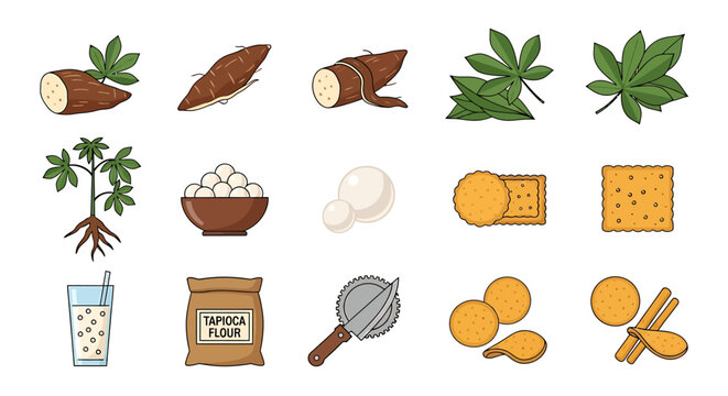 Detailed Pictogram Set Illustrating the Versatile Journey of Cassava and Tapioca, Featuring Raw Roots, Processed Flour, Tapioca Pearls, and Delicious Ready-to-Eat Food Items