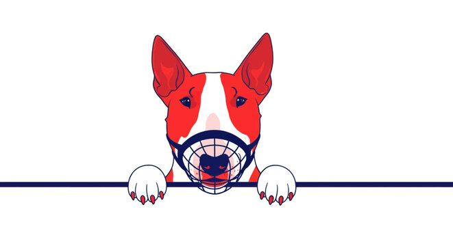 Bull Terrier Dog Wearing Muzzle Peeking Over White Background