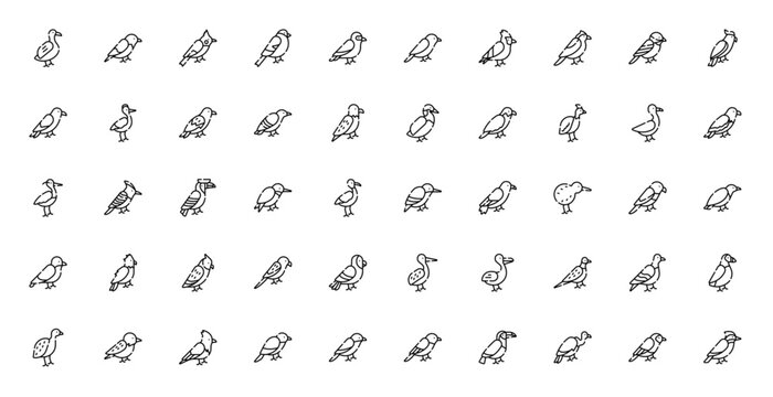 Birds Animal Nature Wildlife Feather Icon Set