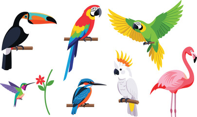 Fototapeta premium Colorful Tropical Bird Icon Set with Toucan, Macaw, Parrot, Hummingbird, Kingfisher, Cockatoo, and Flamingo for Wildlife and Nature Designs