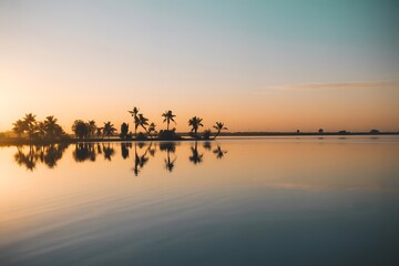 Obraz premium Peaceful Sunset Landscape Palm Trees High Resolution Picture