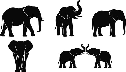 African Elephant Silhouette Collection with Standing Walking and Wildlife Interaction Poses for Safari Vector Illustration Designs © Sreejoynaraon