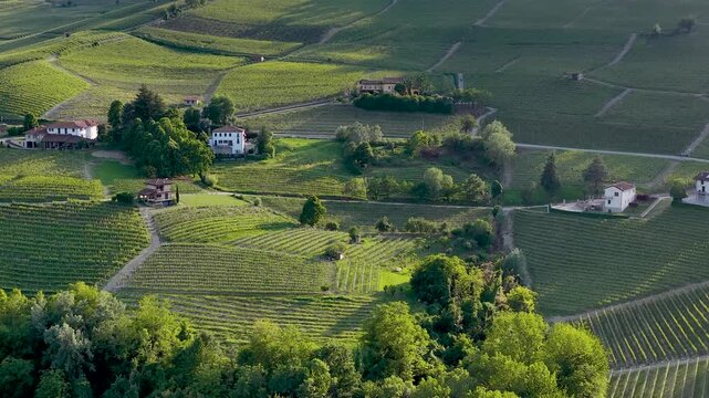 Aerial View of Barolo Vineyards and Rolling Hills in Piedmont Italy