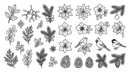 Hand-drawn Christmas elements: holly, mistletoe, poinsettias, pinecones, and birds © rita ambarwati
