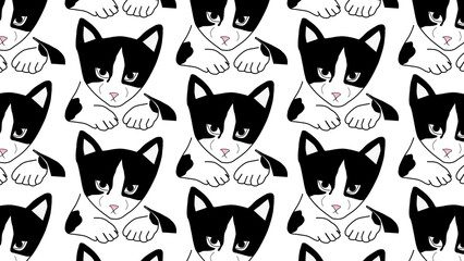 Miyu, the tuxedo cat wallpaper © Minne