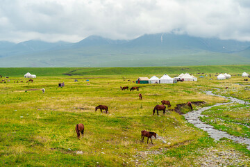 Obraz premium Scenic landscape of a vast green grassland with horses grazing near a stream and mountains in the background