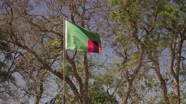 Zambian glag blowing in the wind