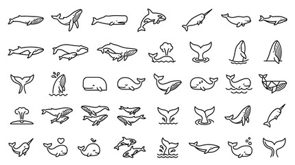 Whale Icon Set: Diverse Ocean Mammals in Simple Line Art Style © khris sani